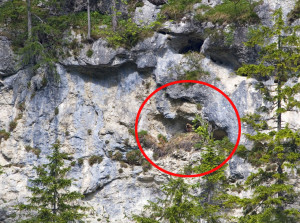 Die Steinadler-Familie aus dem Klausbachtal ist der neue Besuchermagnet im Nationalpark Berchtesgaden. Eine Kamera liefert ab sofort Live-Bilder von der Kinderstube des „Königs der Lüfte“. 