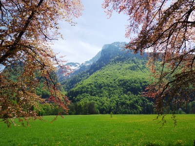 Blick auf den Untersberg von Glanegg aus