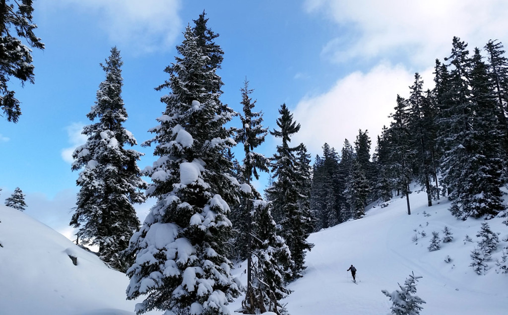 Skitourengeher auf dem Weg zum Hirschkaser