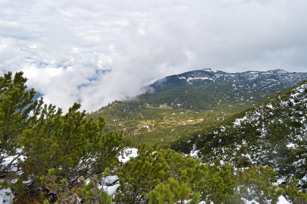 Blick über das Untersberg Plateau