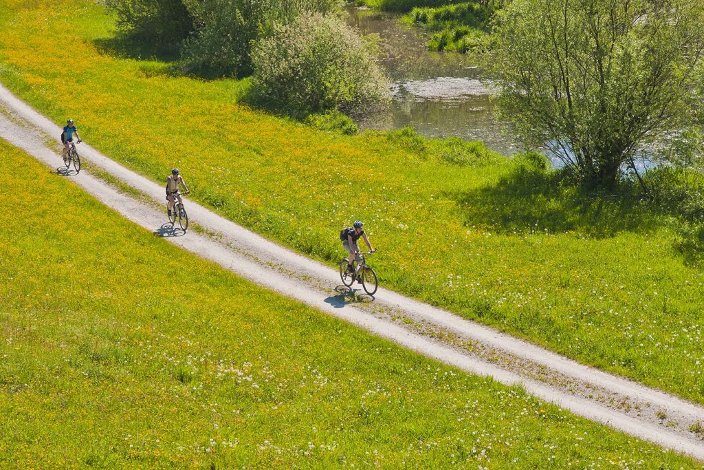 Mountainbiker auf dem Feldweg der Sur entlang inmitten einer blühenden Wiese