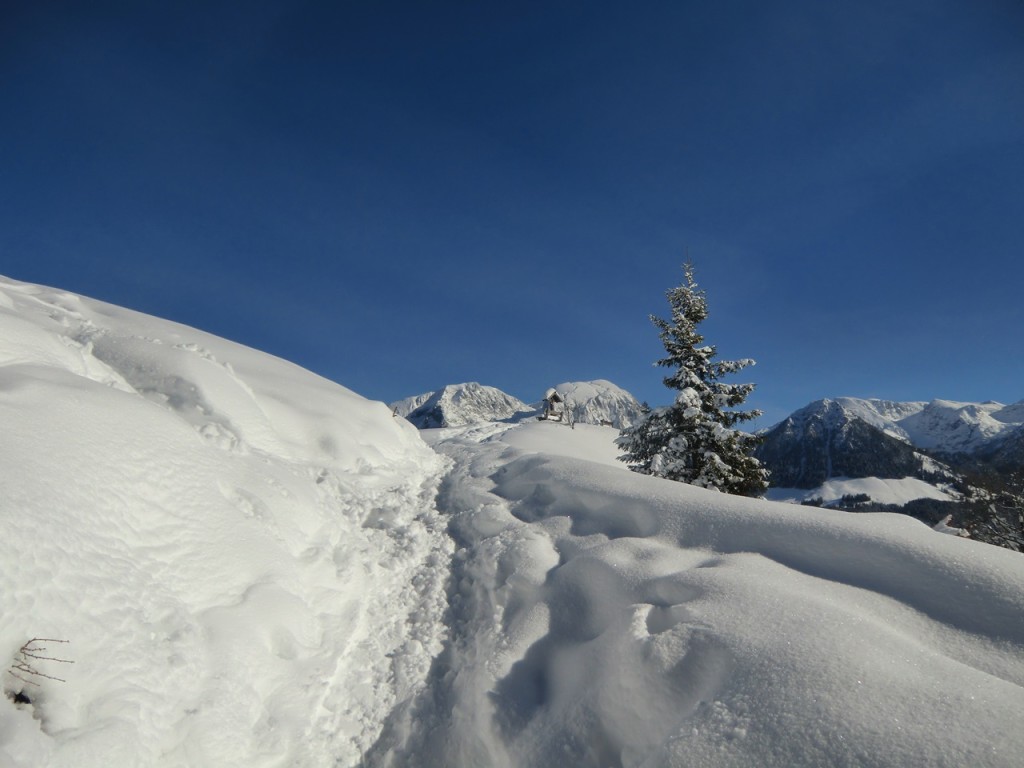 Gipfelweg zum Grünstein im Winter