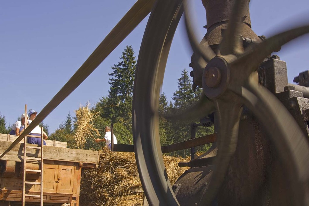 im Bauernhofmuseum Hof betreibt die Dampfmaschine den Dreschwagen zum traditionellen Dampfdreschen - Kirchanschöring