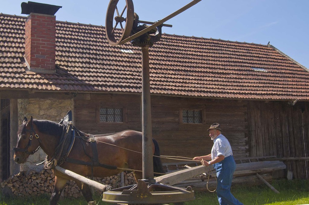 der Goepel im Bauernhofmuseum Hof, eine Transmission, mit der verschiedene landwirtschaftliche Geräte betreiben werden - Kirchanschöring