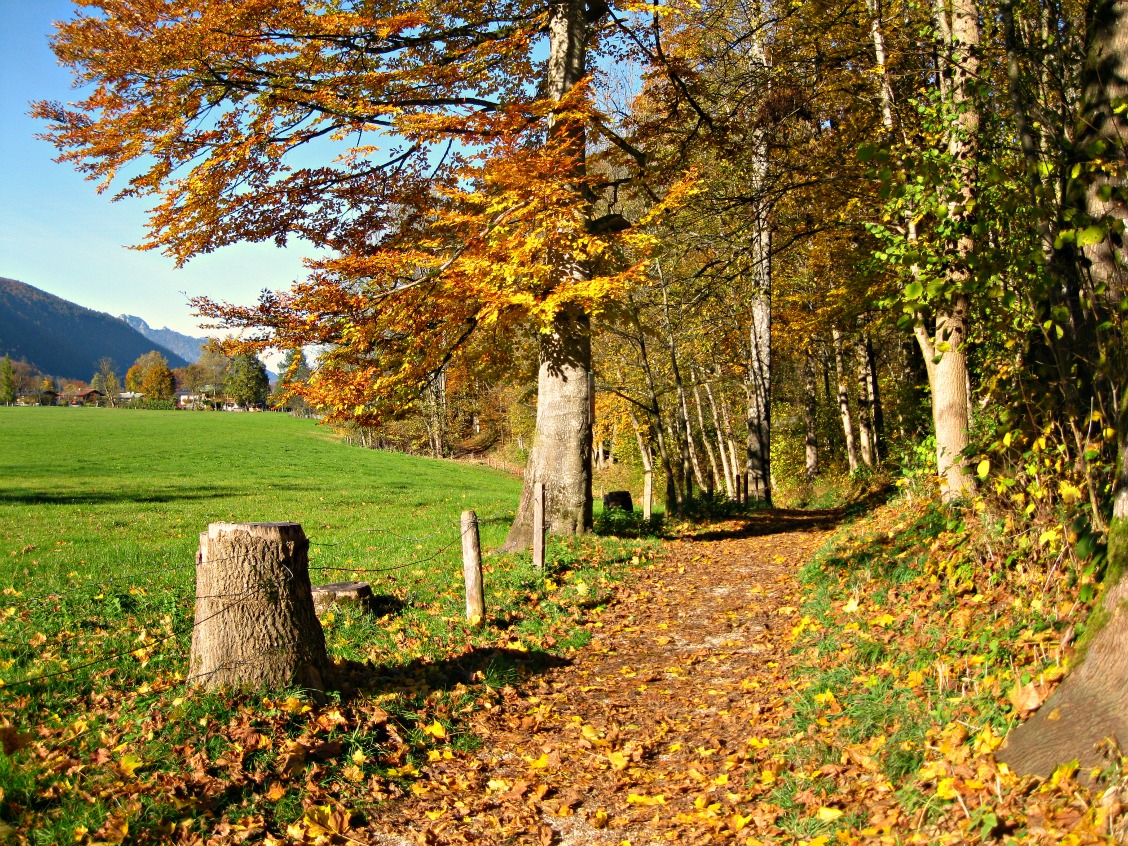 am Ein Schönau Königssee durch Herbst-Spaziergang
