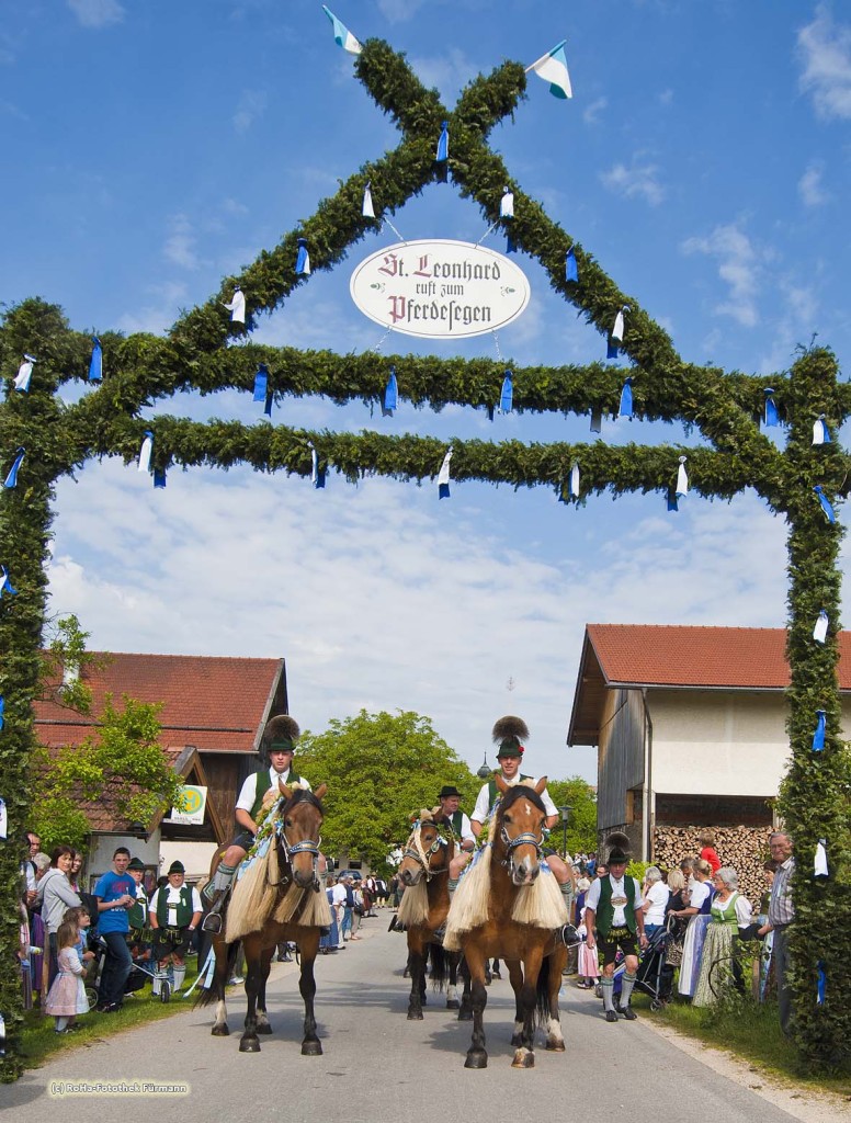 Reiter mit Kaltblutpferde unter dem Triumphbogen beim Leonhardiritt in Holzhausen bei Teisendorf mit, Oberbayern, der Umritt ist erstmals urkundlich erwähnt 1612, dabei werden die wunderschön herausgeputzten Pferde gesegnet, Deutschland
