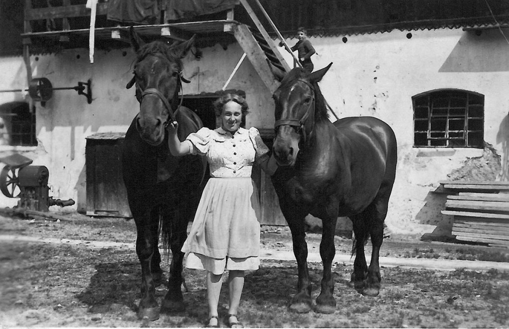 vermutlich 1950: Pferde am Pfaffenlehen