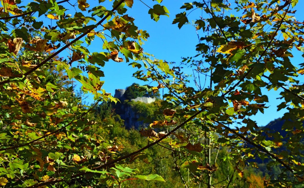 Blick durch den Herbstwald zur Burgruine Karlstein