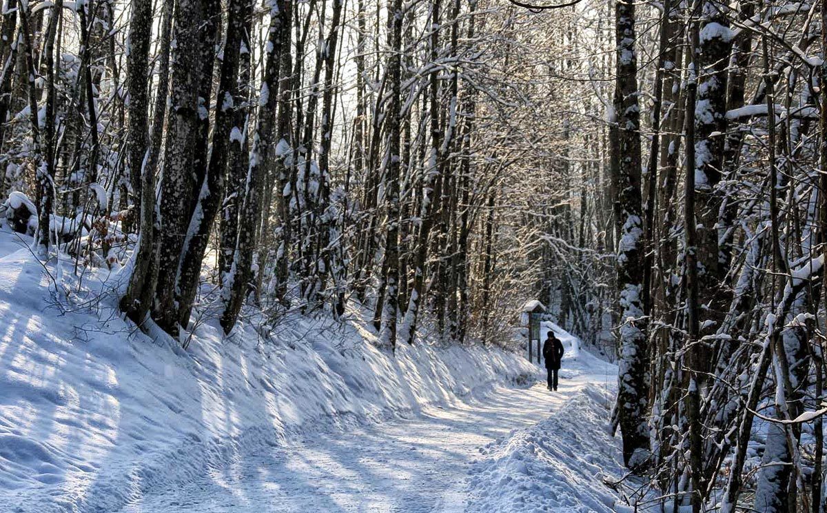 Winterwandern auf dem Königsseer Fußweg