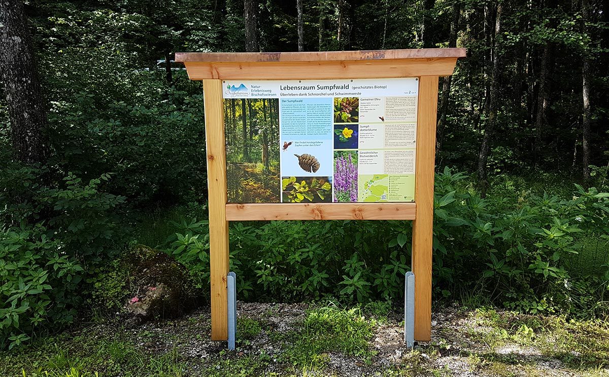 Lebensraum Sumpfwald am Natur-Erlebnisweg Bischofswiesen