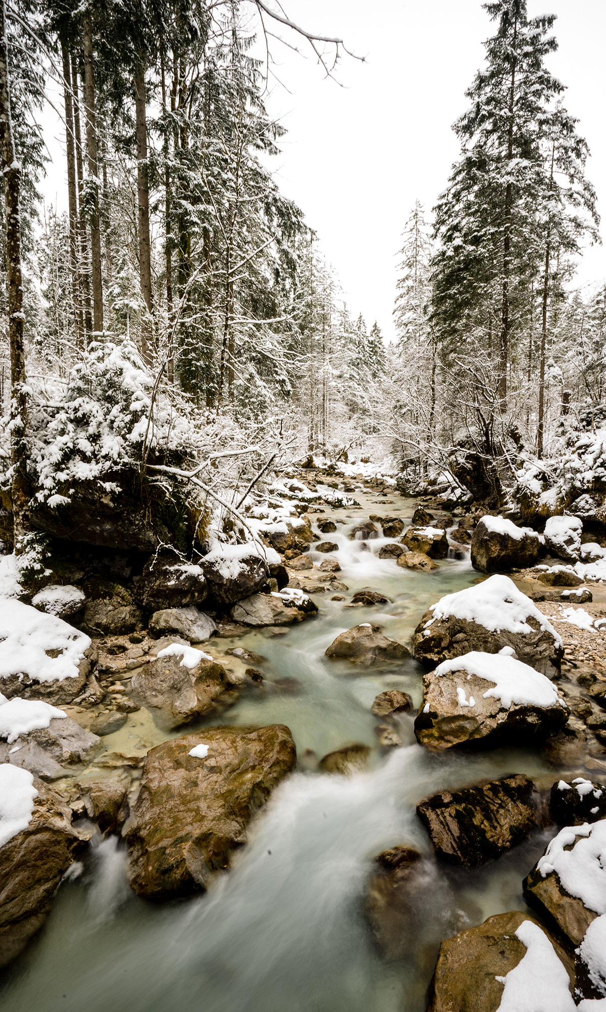 Der winterliche Zauberwald © Nina Schlesener 