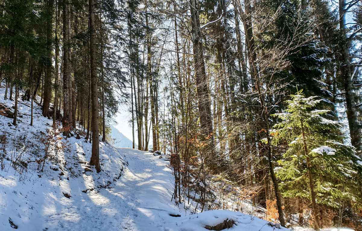 Der winterliche Linde Weg am Obersalzberg