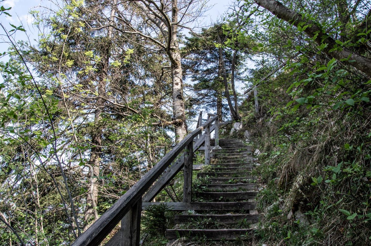 Stufen und Geländer erleichtern den Weg hinauf