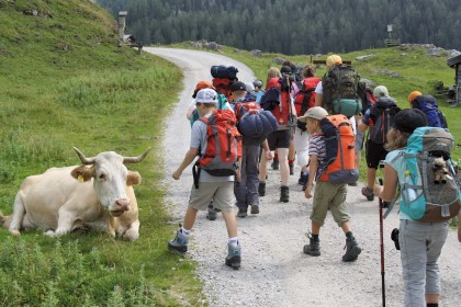 Zwei Veranstaltungen für Kinder und Jugendliche bietet der Nationalpark Berchtesgaden zu Beginn der Sommerferien an
