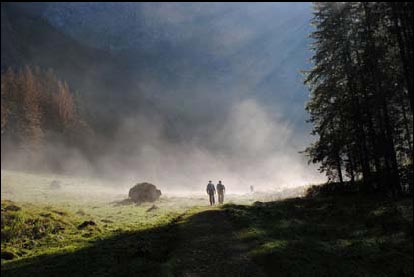Morgenstimmung im Nationalpark Berchtesgaden © Vidicom / Foto: Peter Bardehle