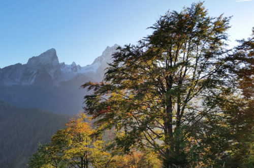Herbst am Grünstein mit Blick zum Watzmann
