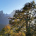 Herbst am Grünstein mit Blick zum Watzmann