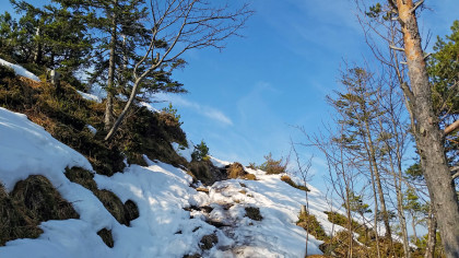 Schnee auf den letzten Metern zum Gipfel des Dötzenkopfs