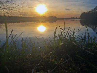 Sonnenuntergang am Ost-Ufer des Abtsdorfer Sees