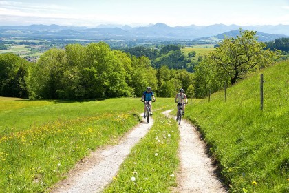 Mountainbiker auf dem Feldweg Richtung Hochhorn inmitten einer blühenden Wiese - im Panroama im Hintergund das weite Land des Rupertiwinkels mit den Bergen rund um Salzburg