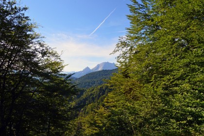 Blick vom Lattengebirge zum Watzmann