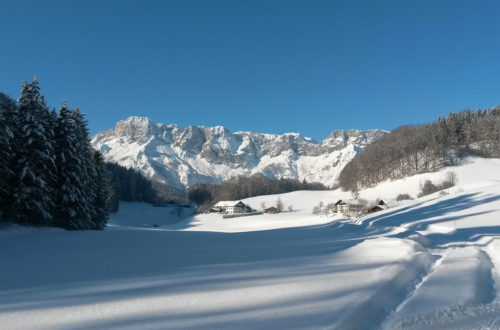 Winter in der Scheffau mit Blick zum Untersberg