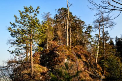 Der Weg über den "Grat" des Großen Barmsteins