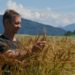 Bio-Landwirt Manfred Eisl inmitten seines Laufener Landweizen-Feldes