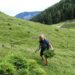 Schwenden auf der Mordaualm © Biosphärenregion Berchtesgadener Land