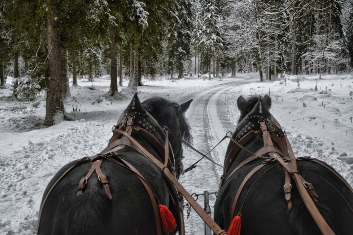 Pferdekutschfahrt im Klausbachtal