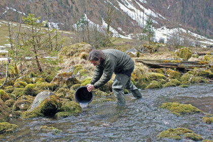 Dr. Ulrich Wunner (l.), Fischereifachberater des Bezirks Oberbayern und Nationalpark-Ranger Klaus Melde (Mitte) bringen 10.000 Seeforellen-Brütlinge in den 2011 aufwändig renaturierten Saletbach ein. Die Aktion wurde von einem Team des Bayerischen Rundfunks begleitet.