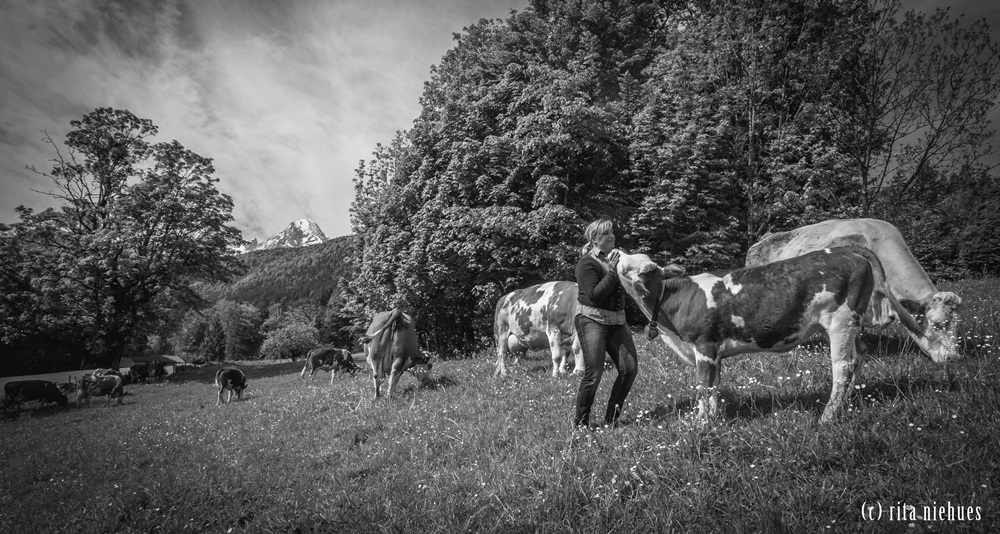 Bishcofswieserin Vroni Hallinger liebt ihre Kühe