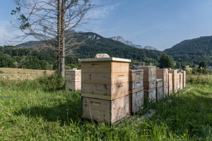 Martins Bienenstöcke in Berchtesgaden