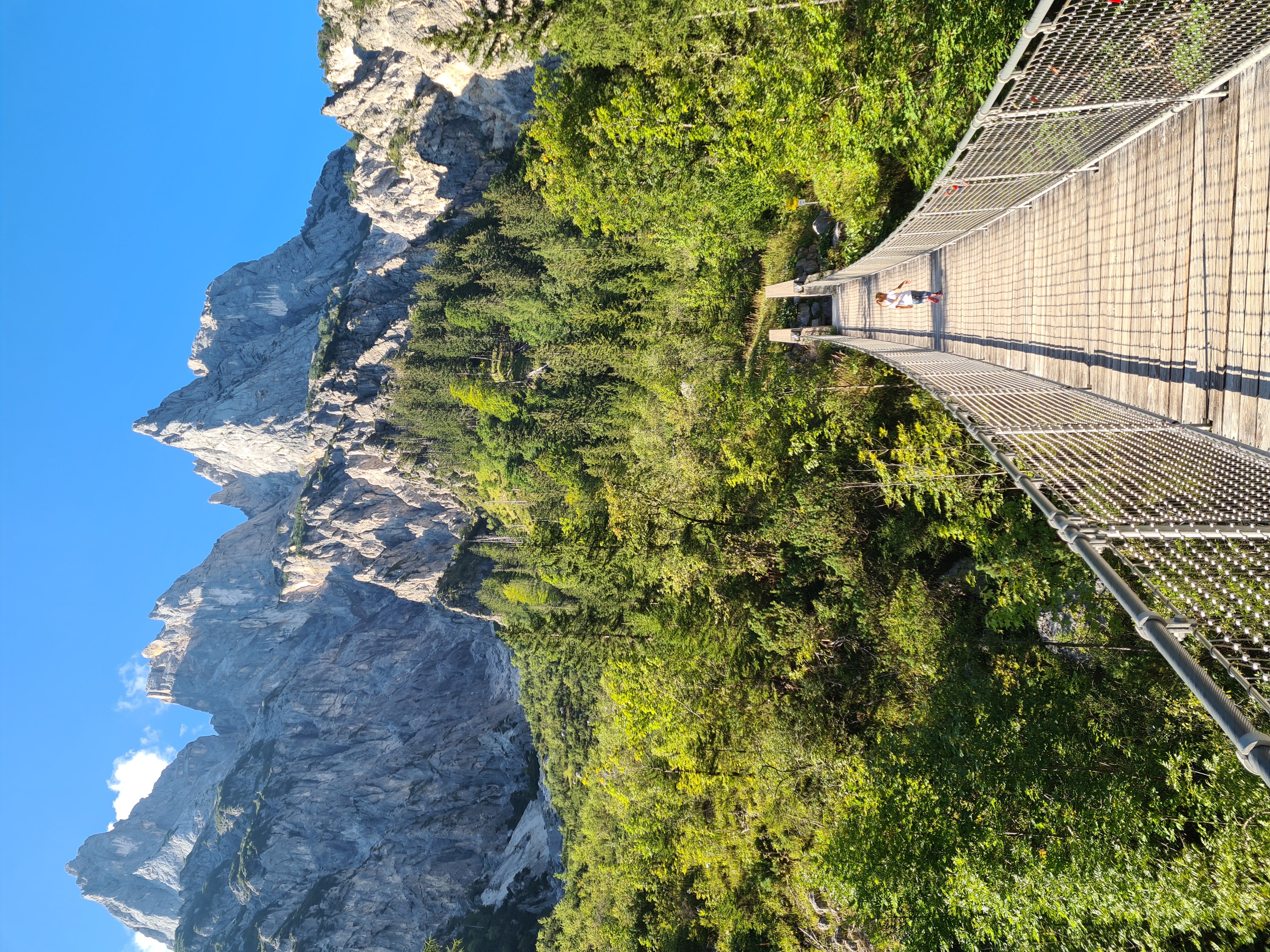 Die Nationalpark-Hängebrücke im Klausbachtal
